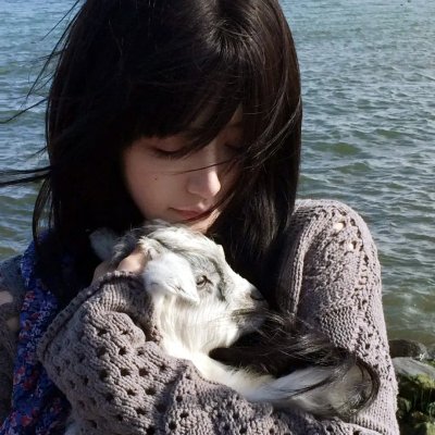 新·假面骑士